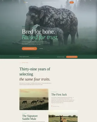 Livestock & Animal Husbandry Advanced Professional Website Template