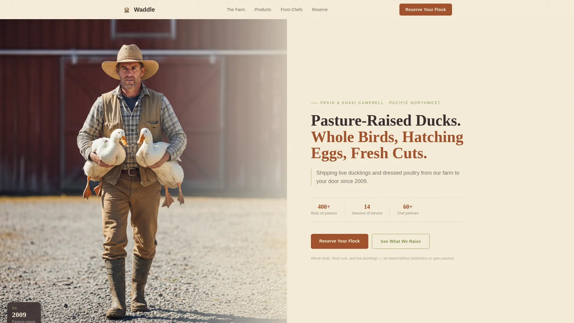 Dairy & Poultry Farm Reviews Website Template
