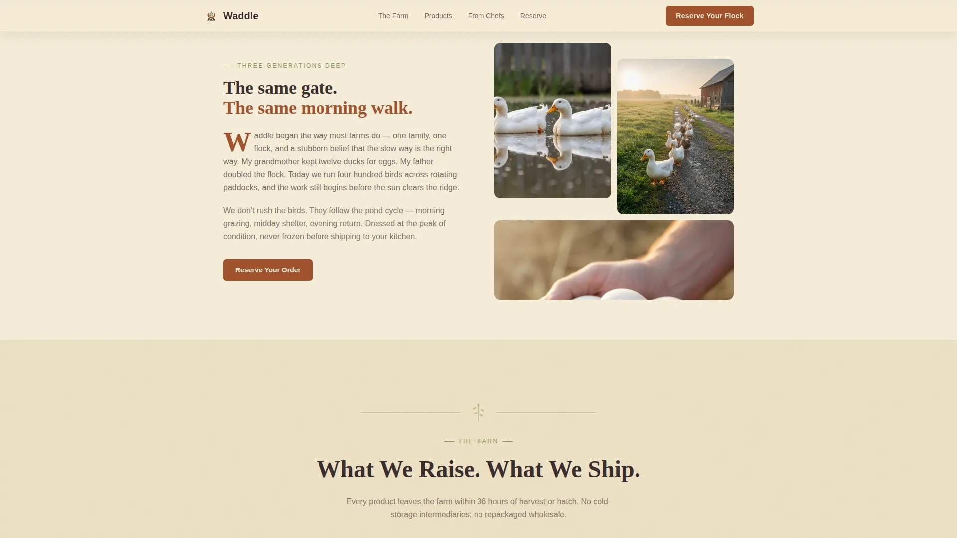 Dairy & Poultry Farm Reviews Website Template