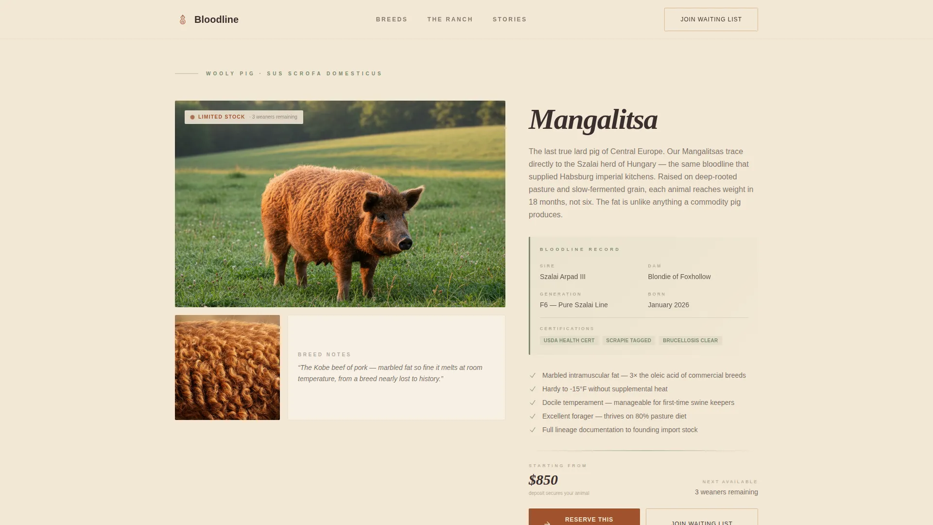 Livestock & Animal Husbandry Booking Website Template