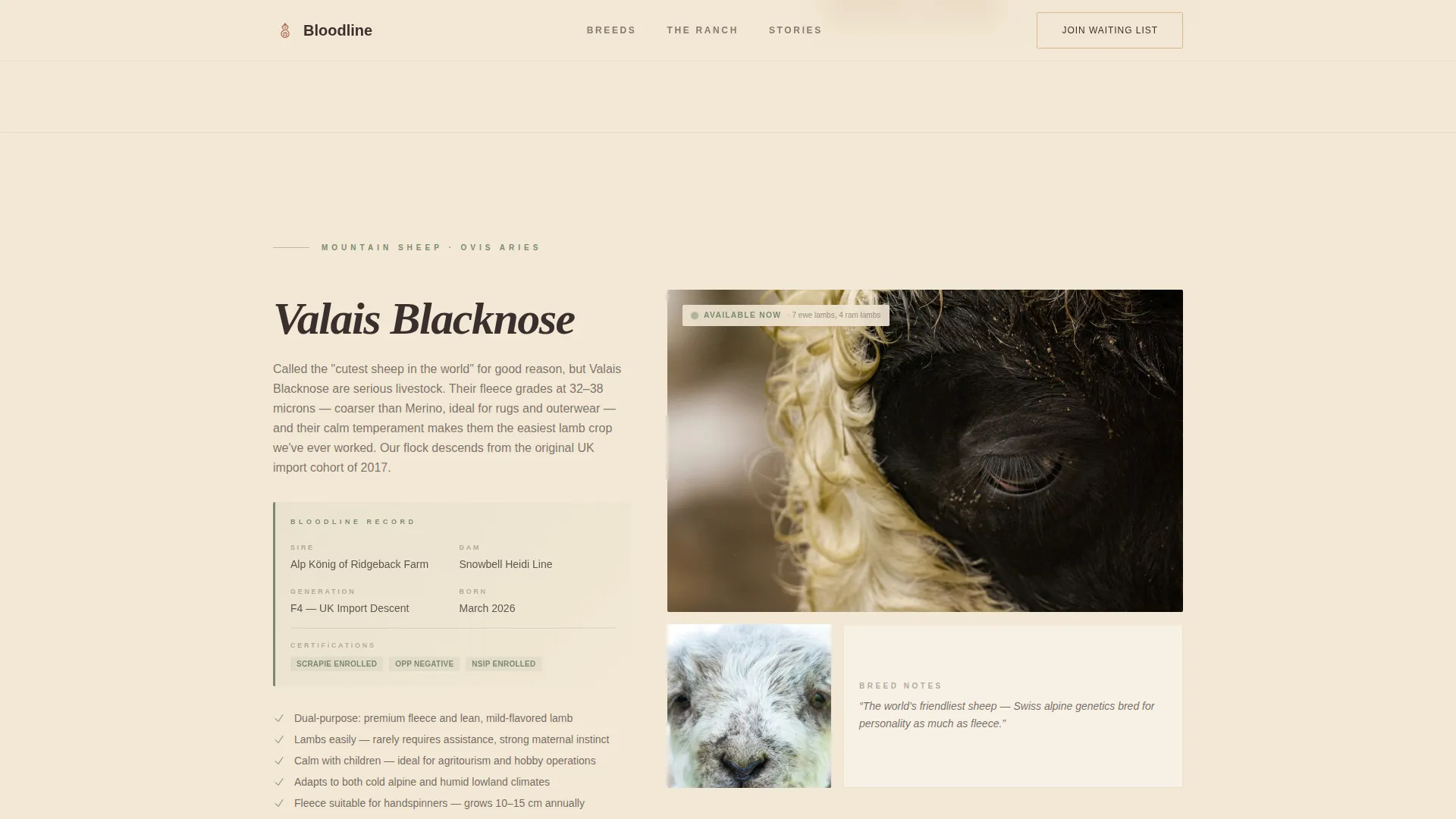 Livestock & Animal Husbandry Booking Website Template