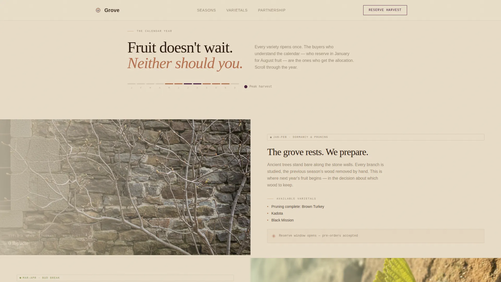 Artisan Fig Farm B2B Landing Page Template