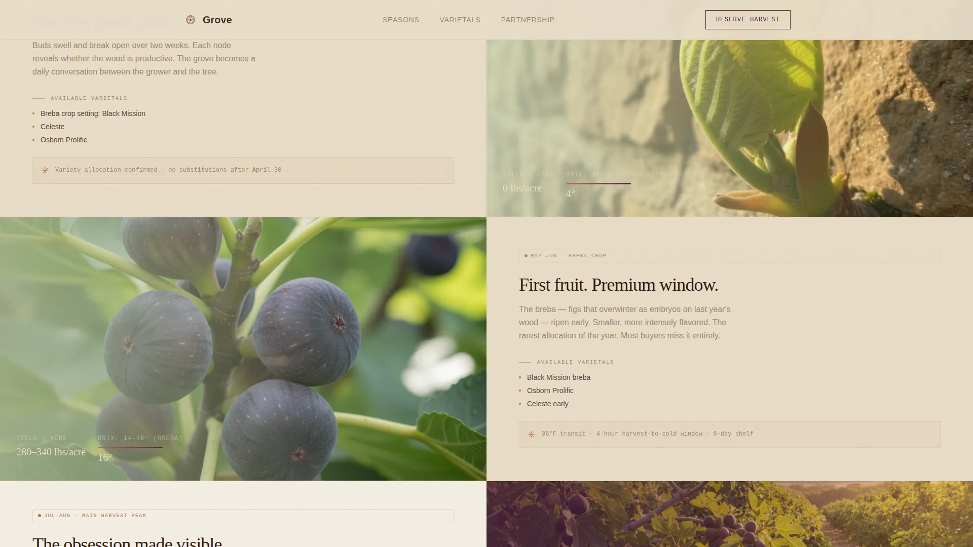Artisan Fig Farm B2B Landing Page Template