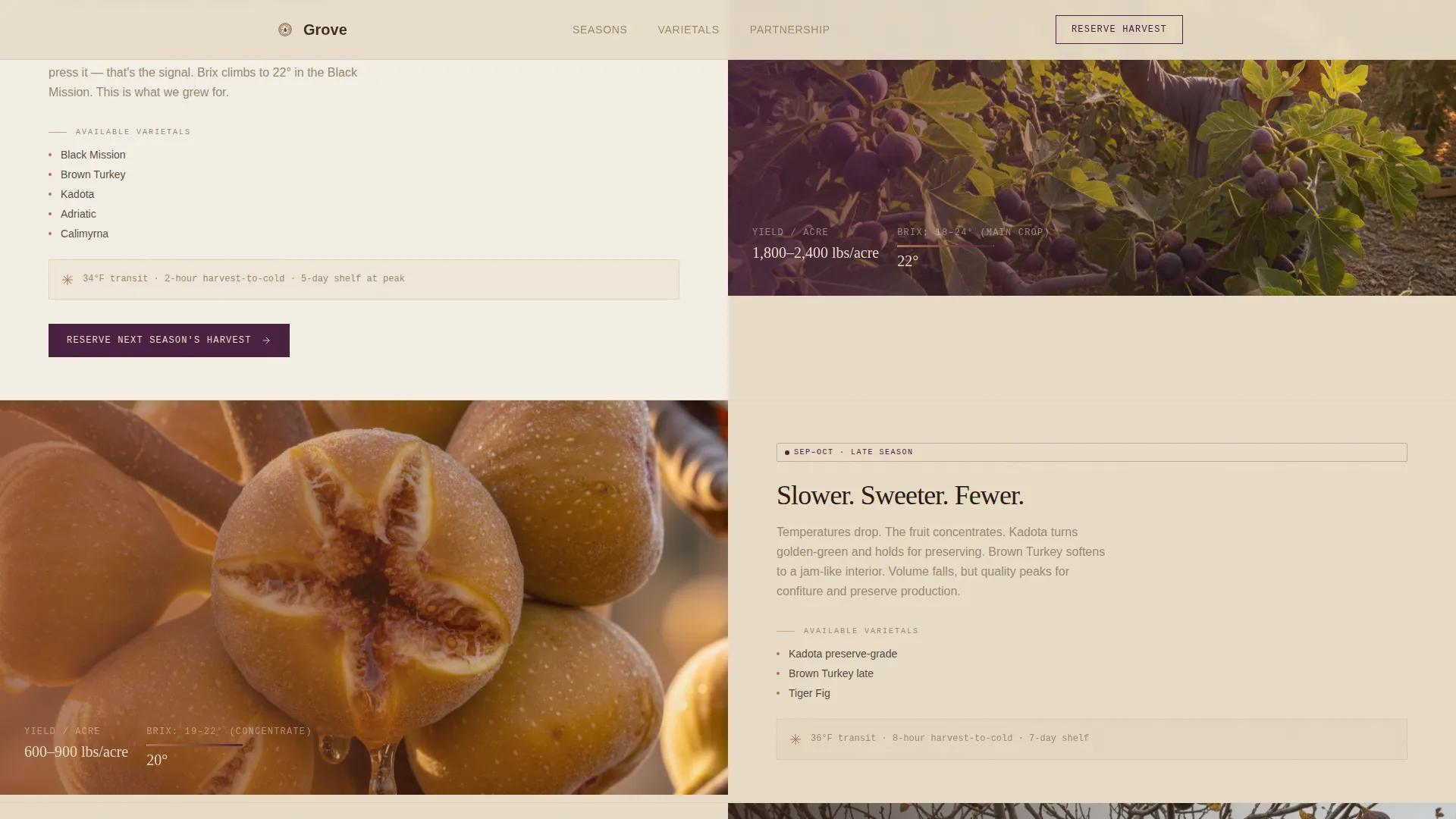 Artisan Fig Farm B2B Landing Page Template