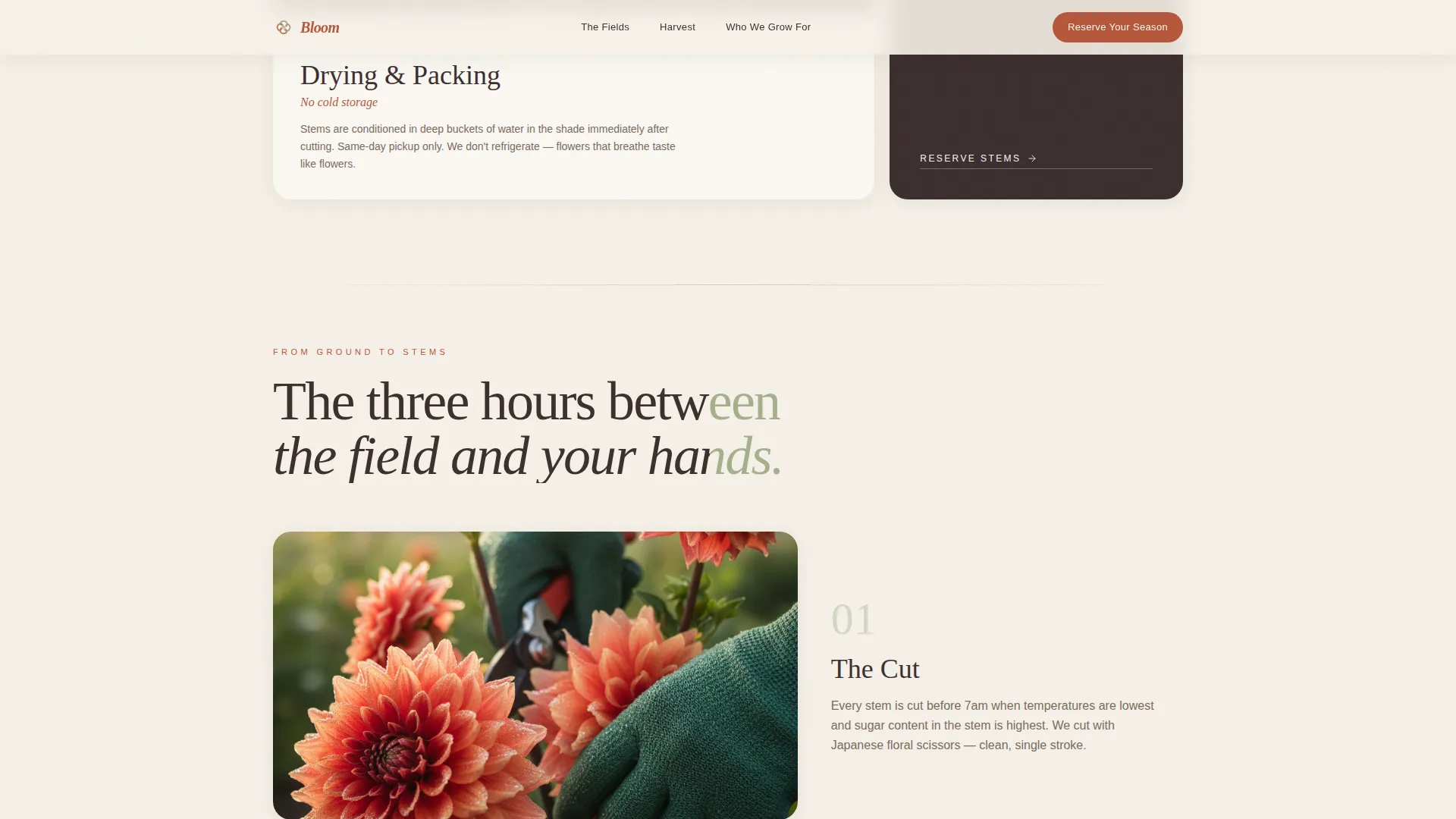 Nursery & Plant Farm Blog & Content Website Template