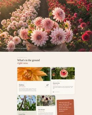 Nursery & Plant Farm Blog & Content Website Template