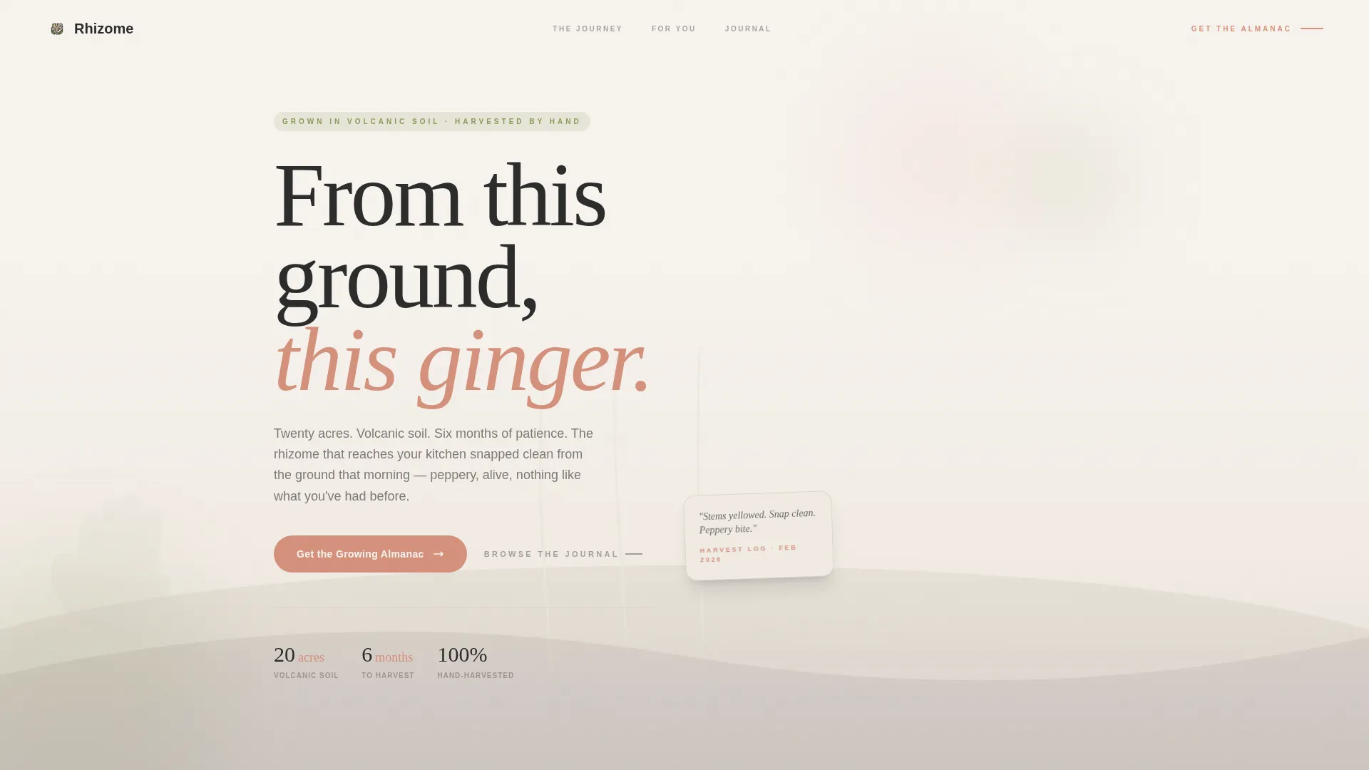 Artisan Ginger Farm Landing Page Template