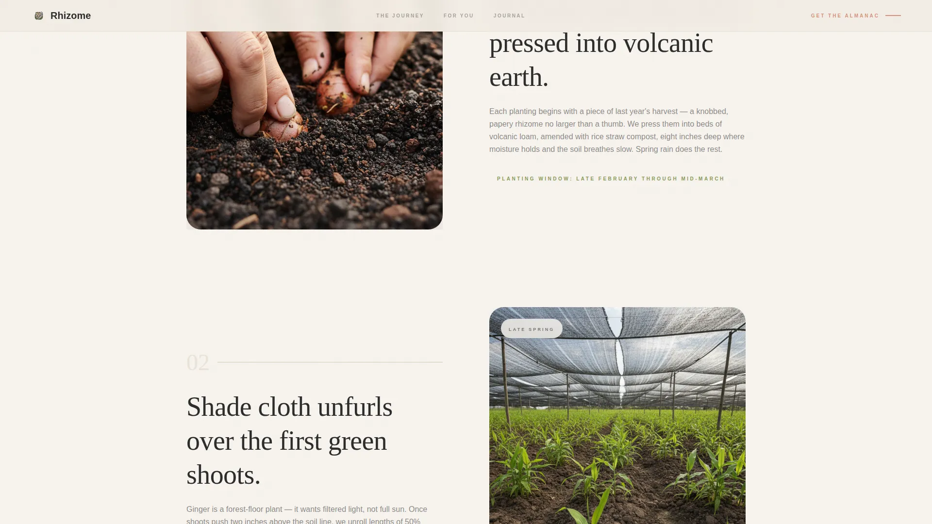 Artisan Ginger Farm Landing Page Template