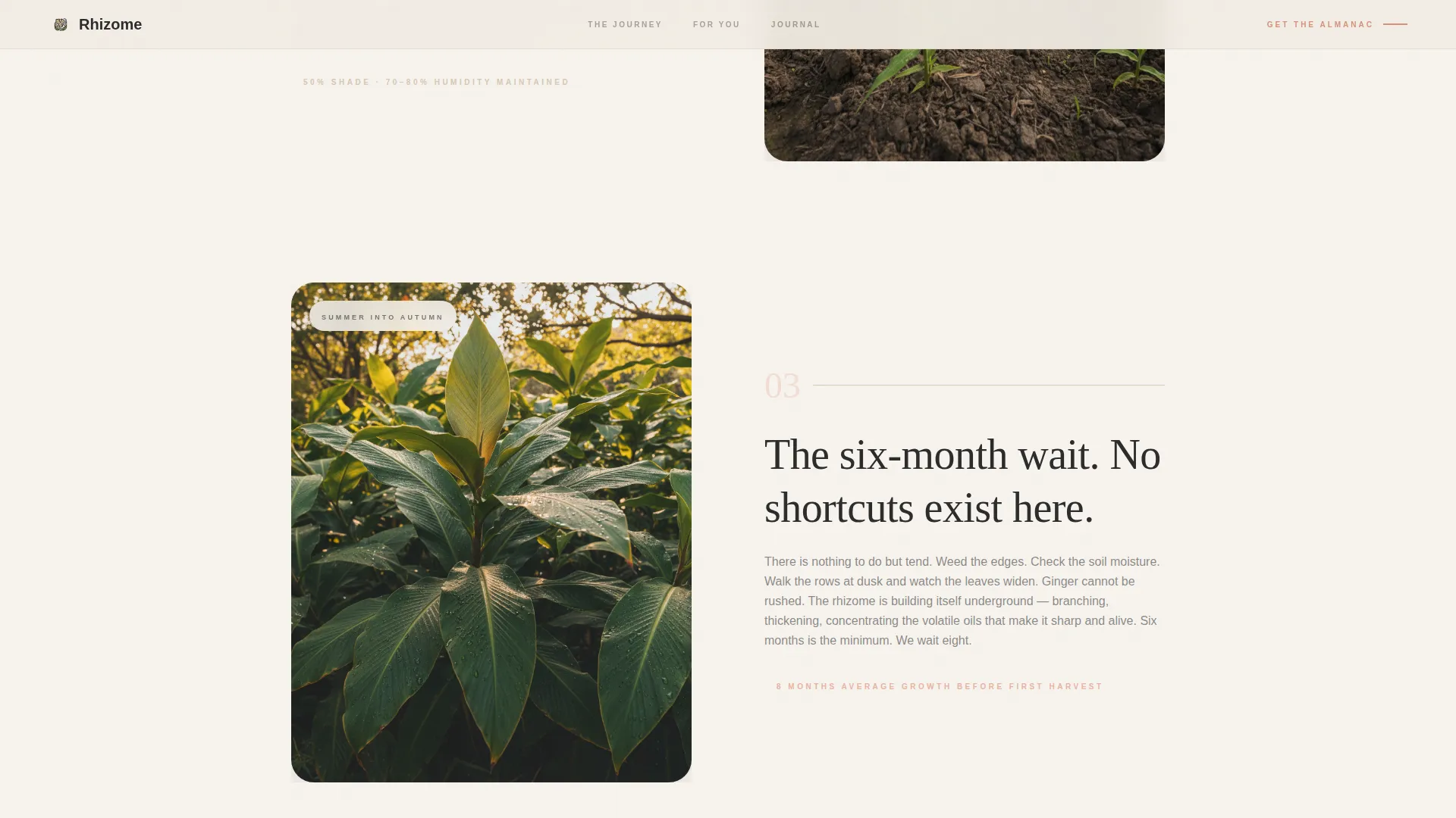 Artisan Ginger Farm Landing Page Template