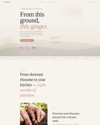 Artisan Ginger Farm Landing Page Template