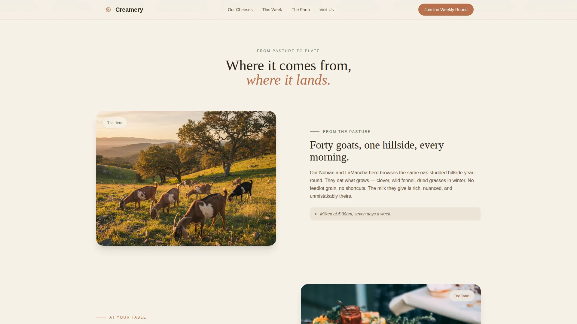 Dairy & Poultry Farm Booking Website Template
