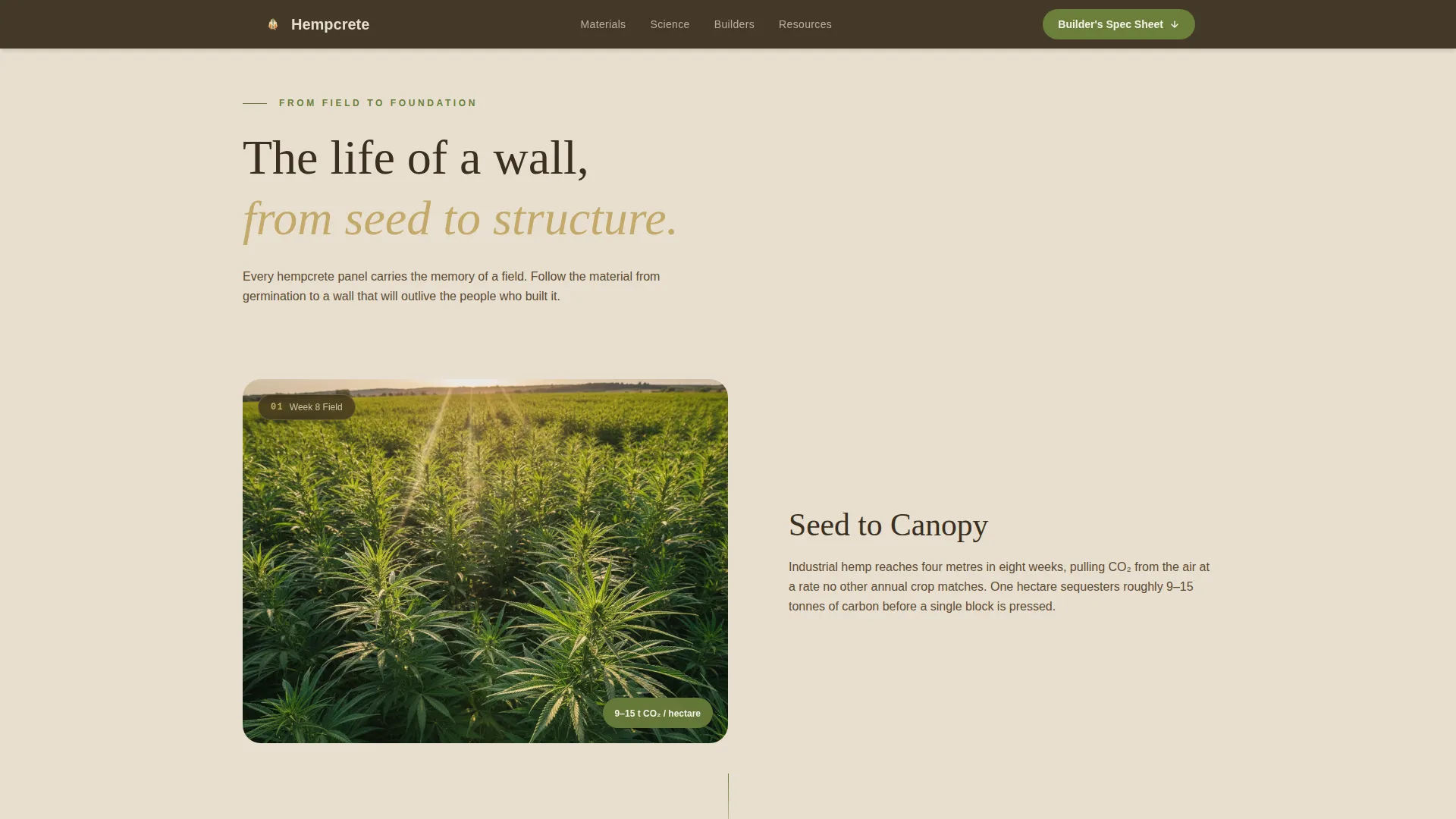 Expert Cannabis Industry Services Professional Website Template