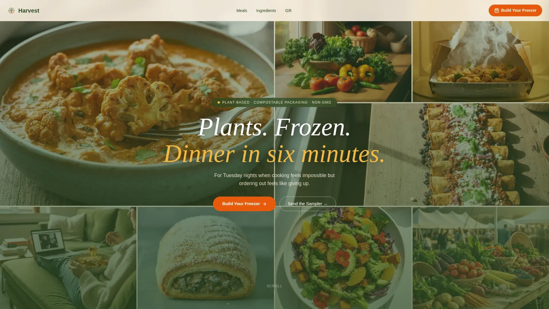 Organic Flow Vegetarian Frozen Food Landing Page Template