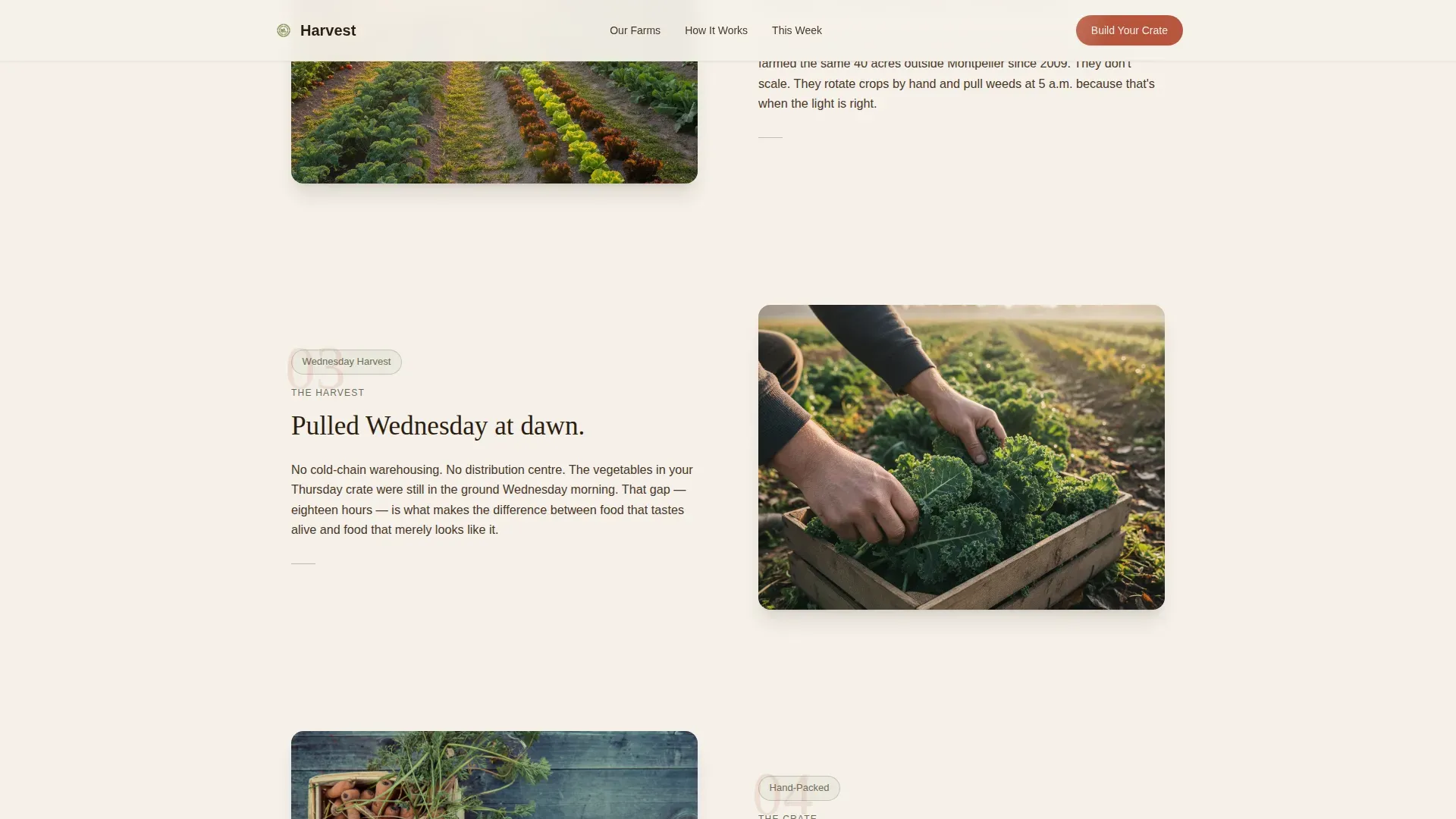 Farm Fresh Vegetarian Grocery Delivery Landing Page