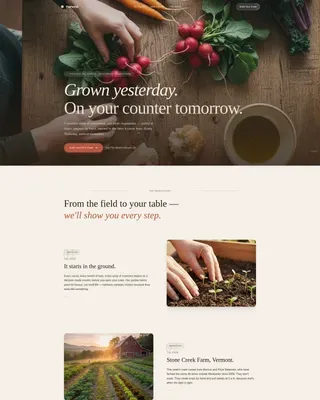 Farm Fresh Vegetarian Grocery Delivery Landing Page