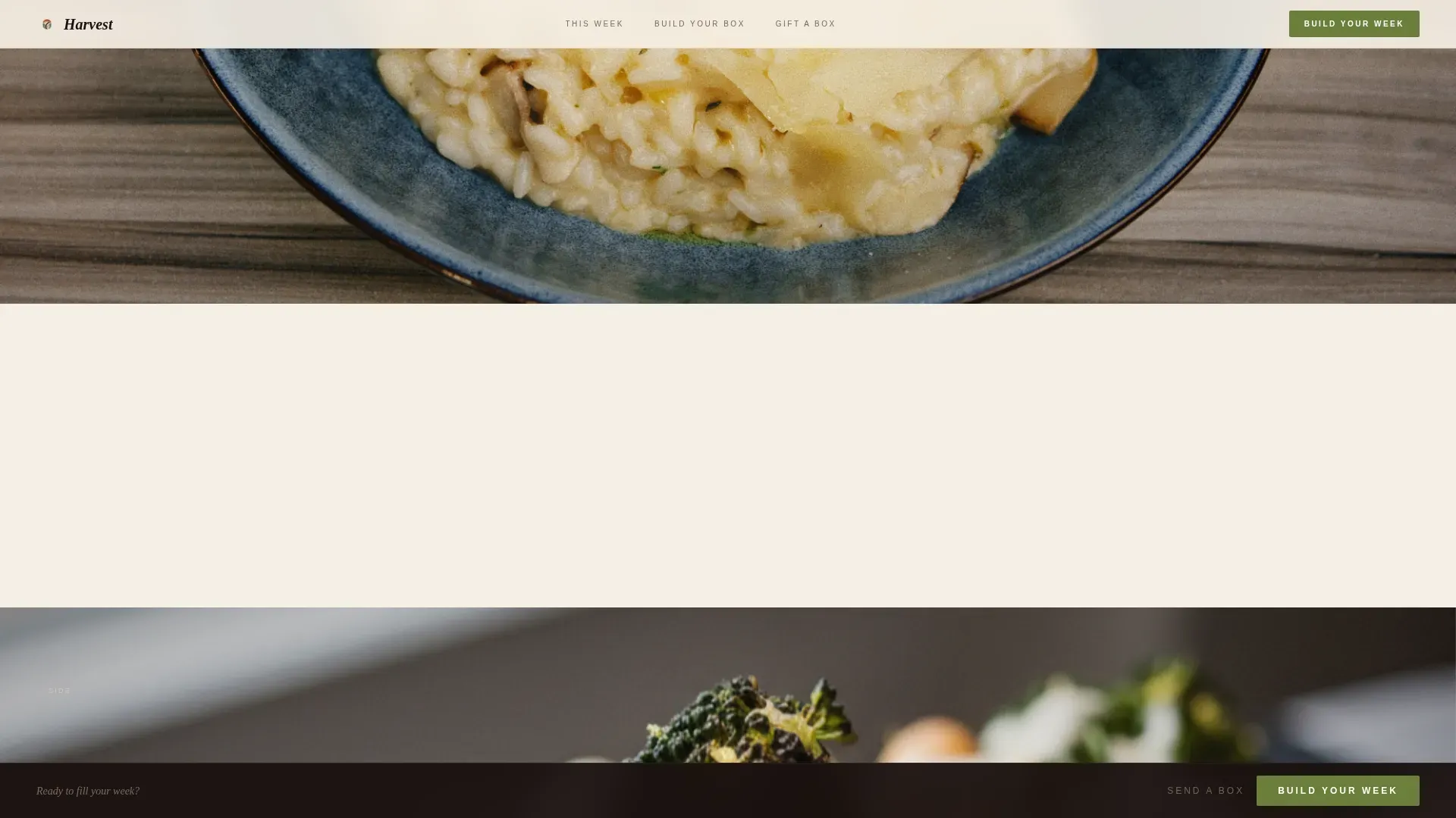 Luxe Minimal Vegetarian Meal Delivery Landing Page Template
