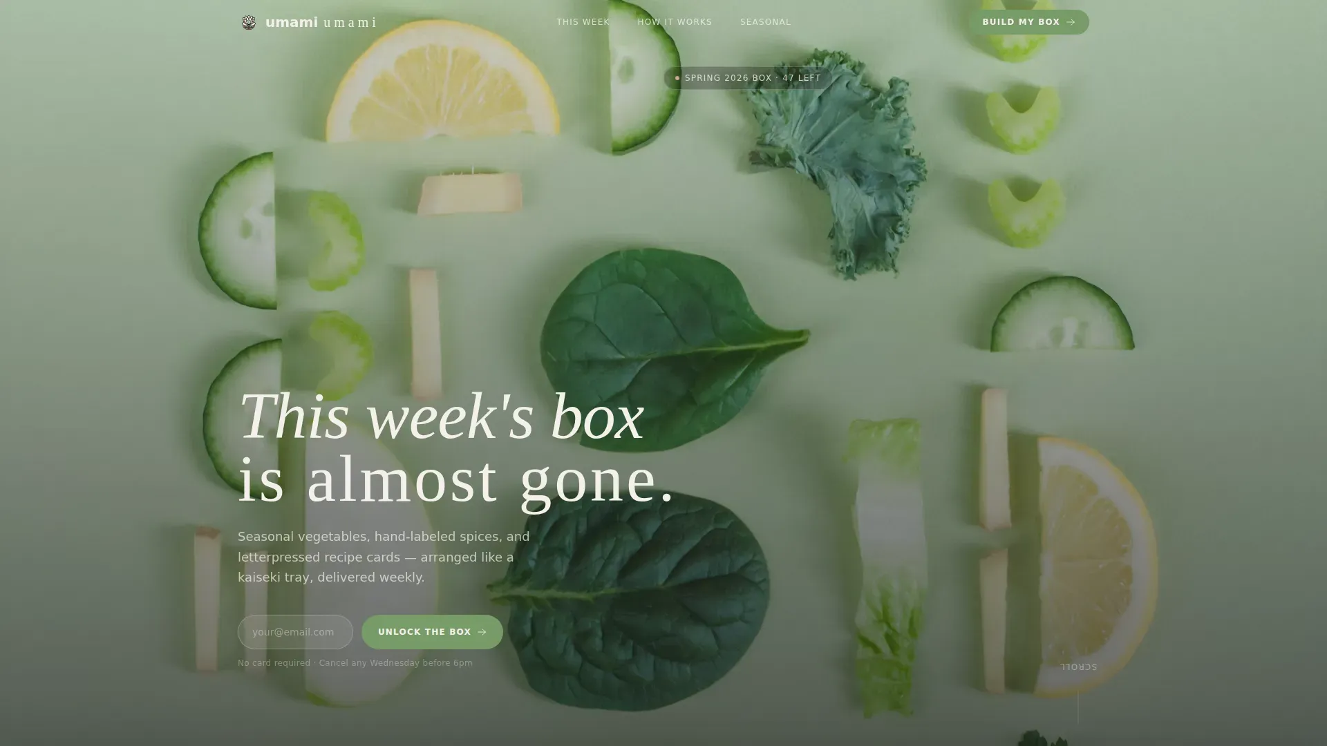 Vegetarian Meal Kit Subscription Landing Page Template