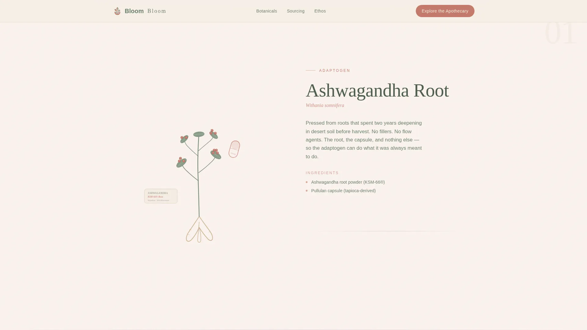 Vegetarian Food & Dining Professional Website Template