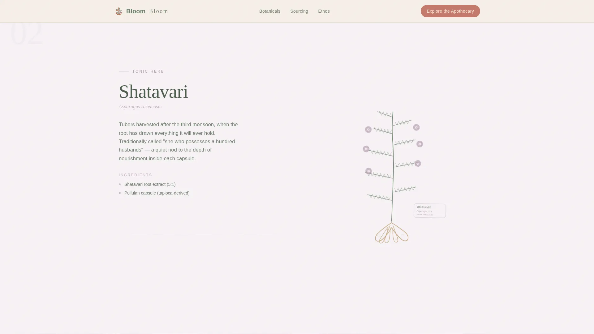 Vegetarian Food & Dining Professional Website Template