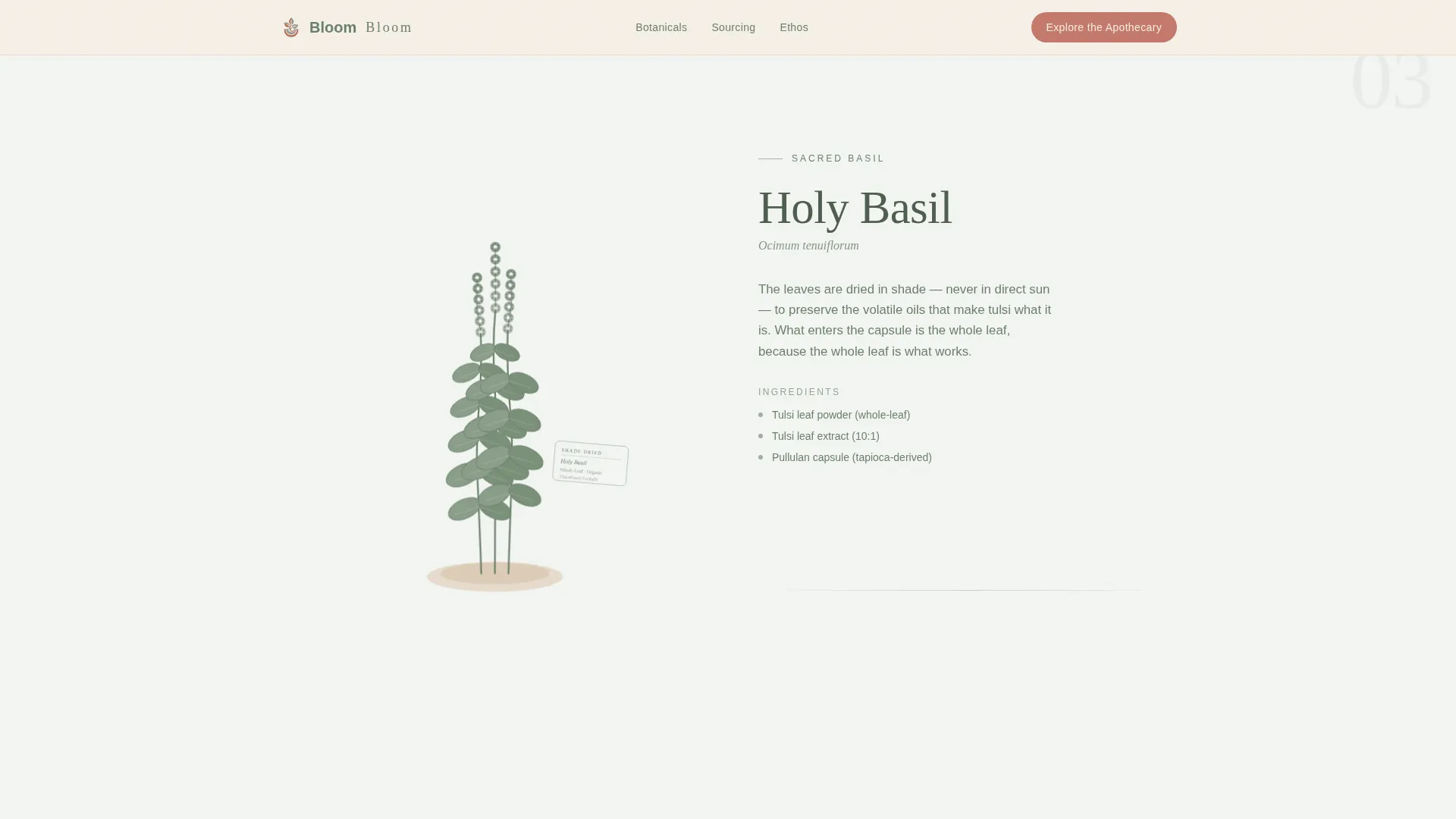 Vegetarian Food & Dining Professional Website Template