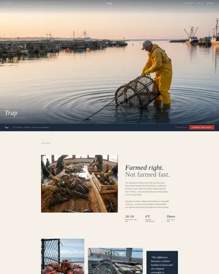 Specialty Farming Reviews Website Template