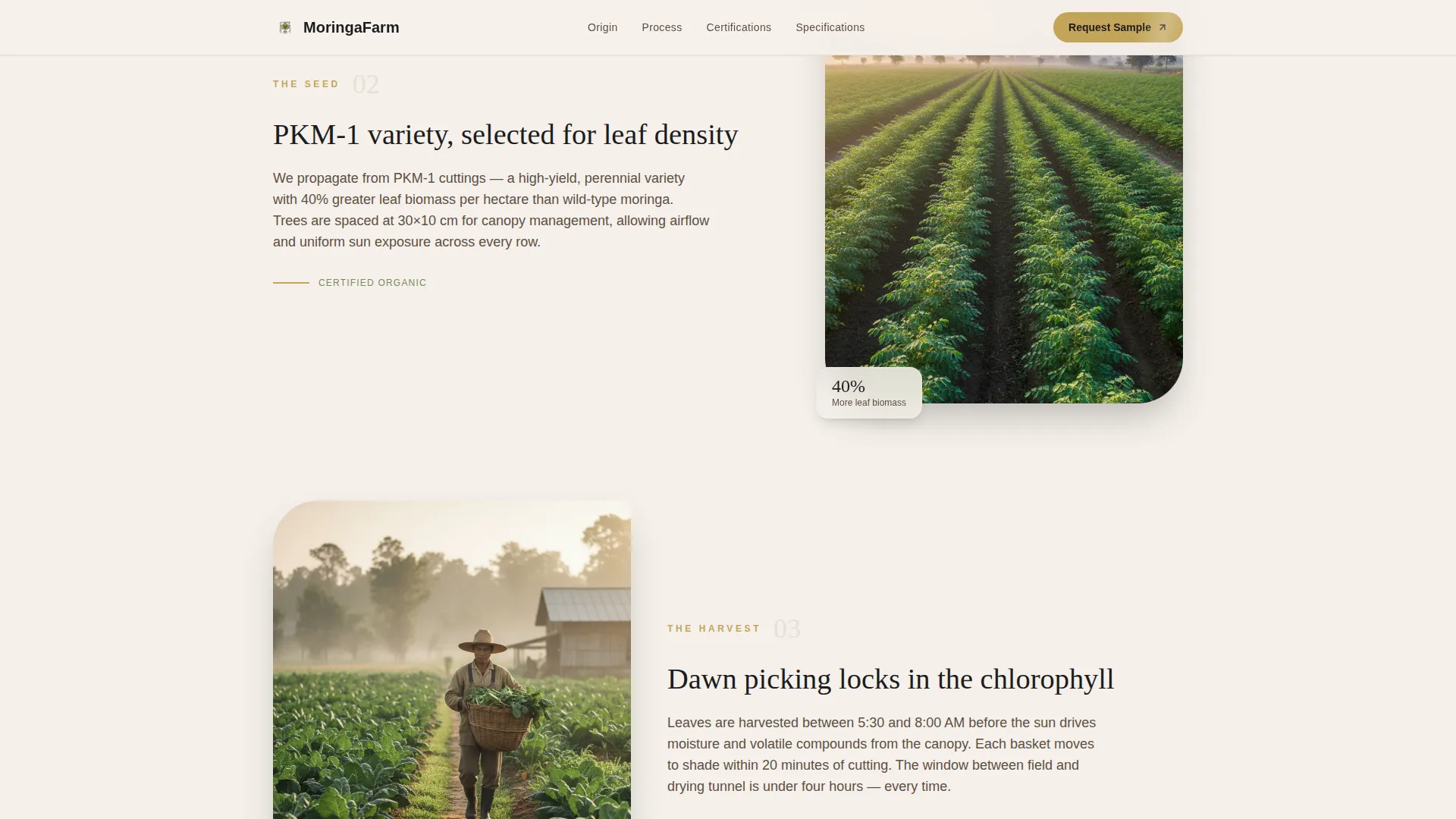 Farm B2B Landing Page Template | Pastoral Calm Design
