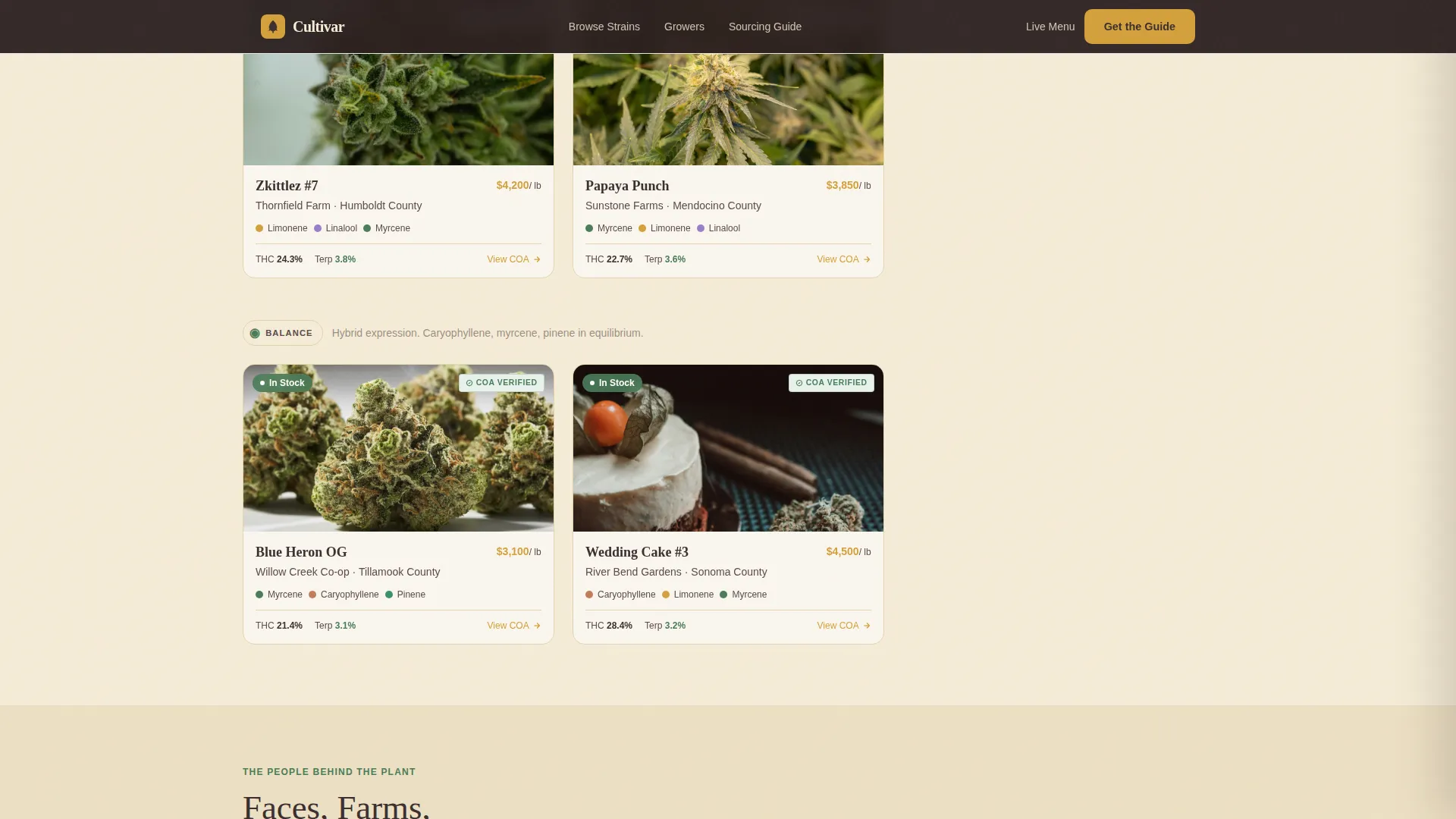 Dispensary & Retail Professional Website Template