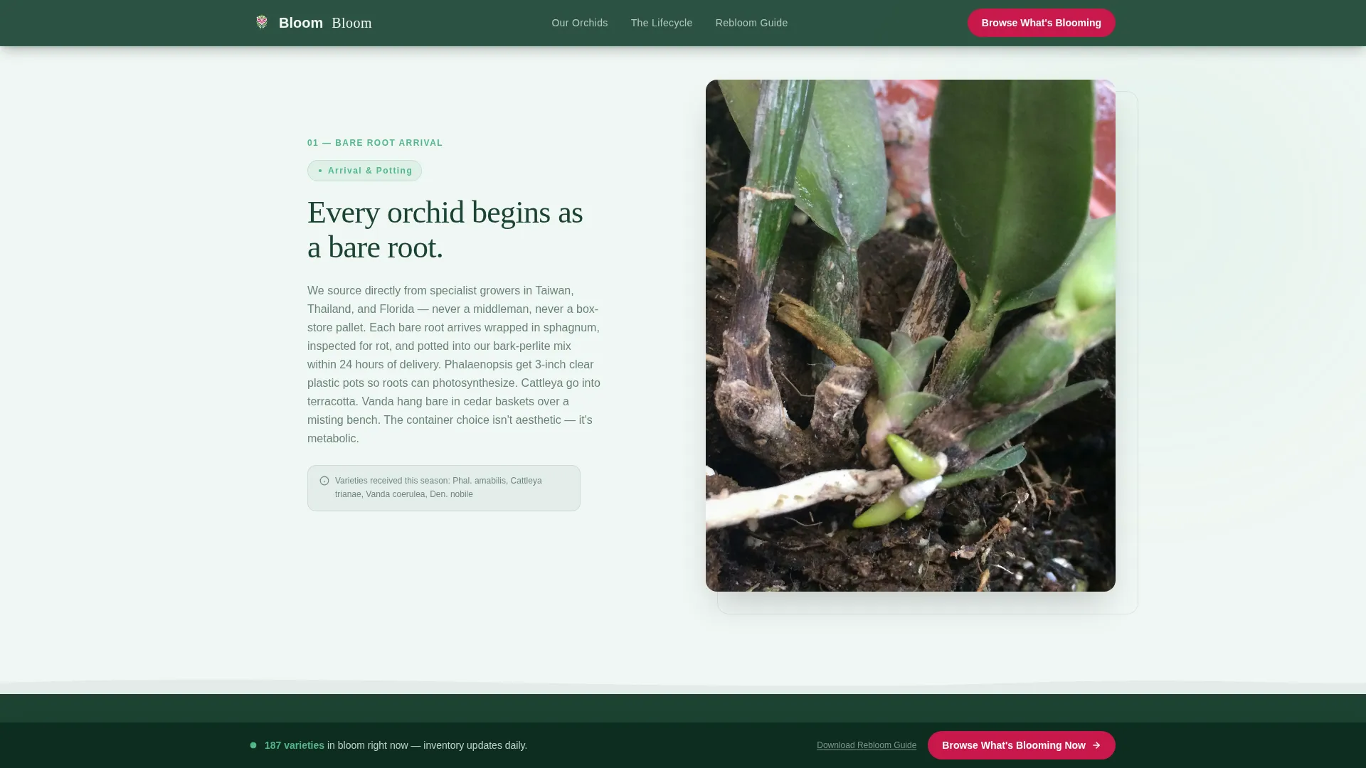 Greenhouse & Indoor Farming Professional Website Template