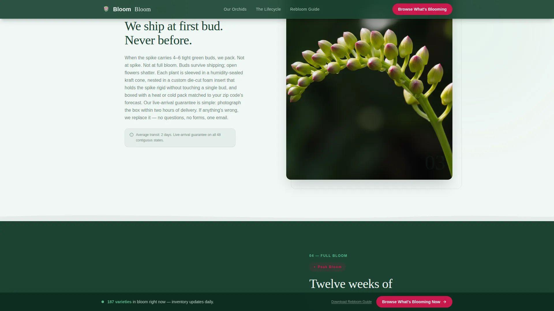 Greenhouse & Indoor Farming Professional Website Template
