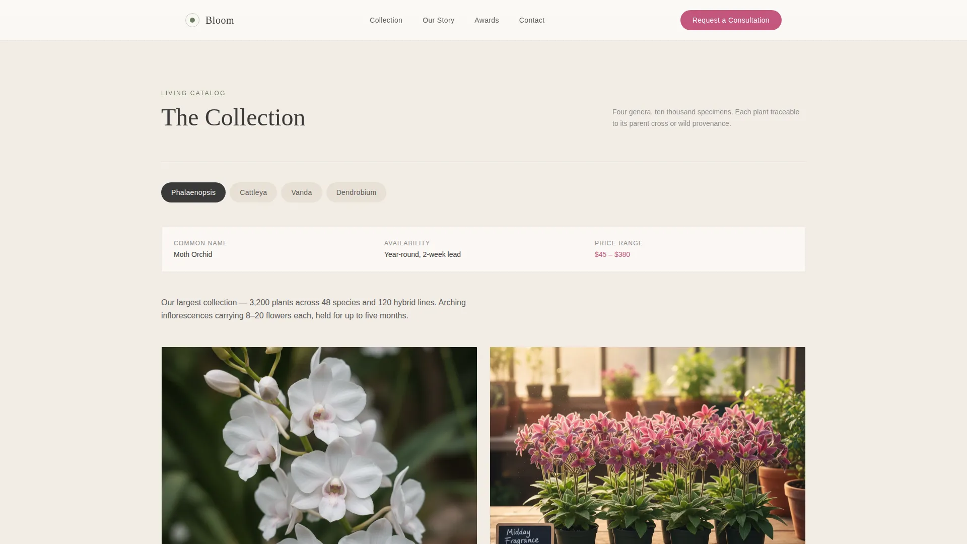 Nursery & Plant Farm Professional Website Template