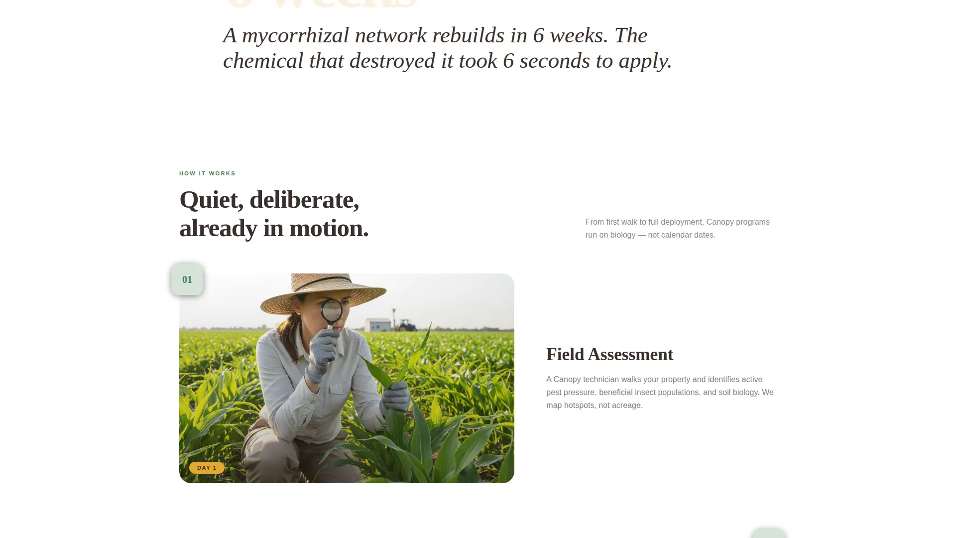 Organic Pest Management Landing Page Template