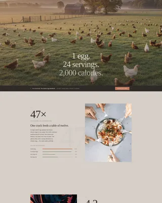 Specialty Farming Professional Website Template
