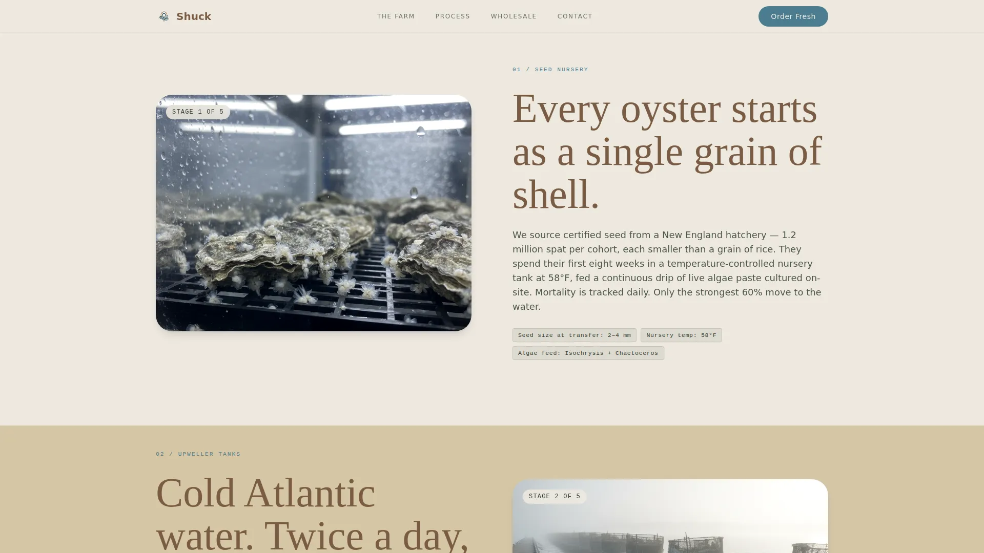 Fishery & Aquaculture Professional Website Template