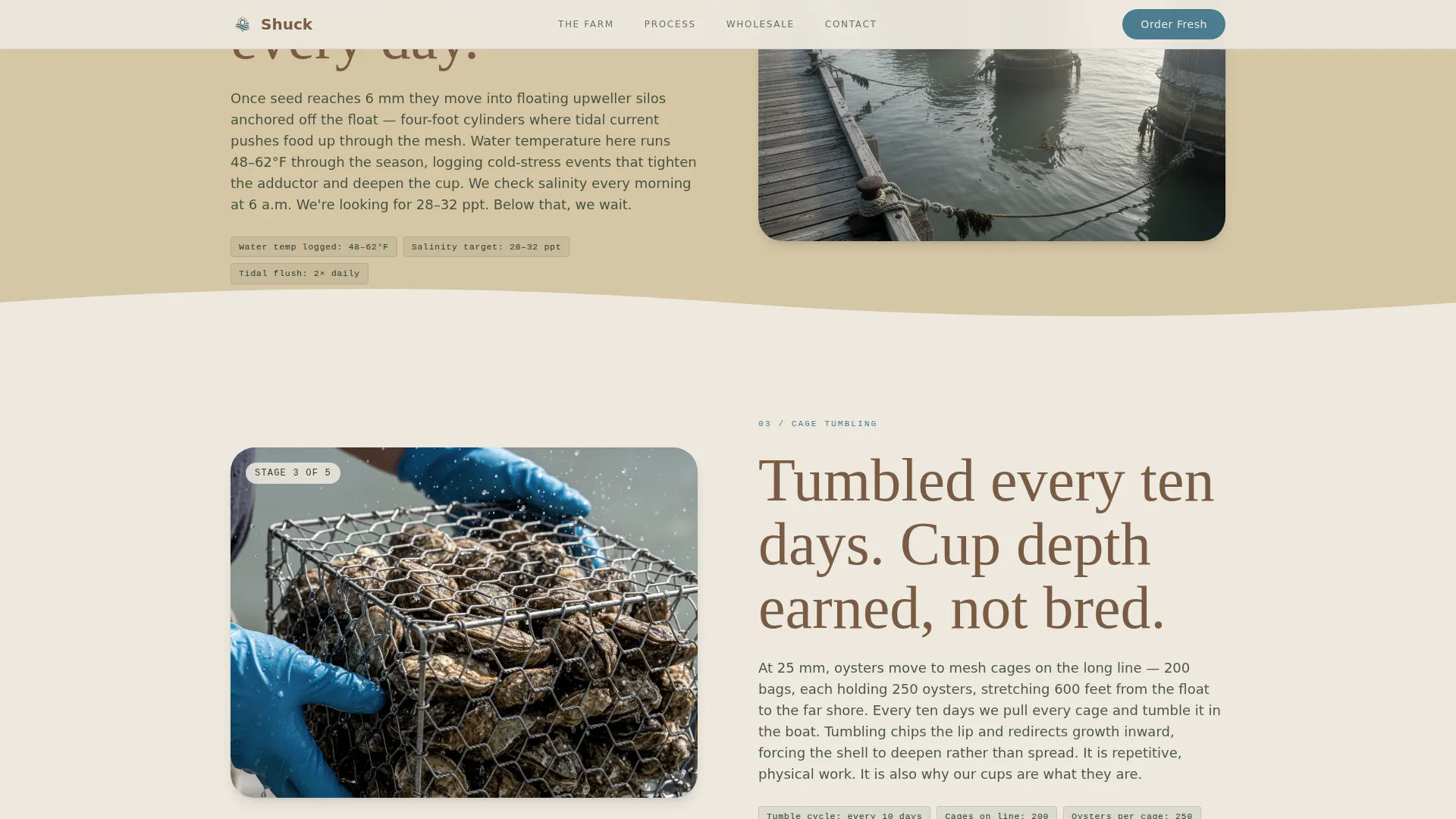 Fishery & Aquaculture Professional Website Template