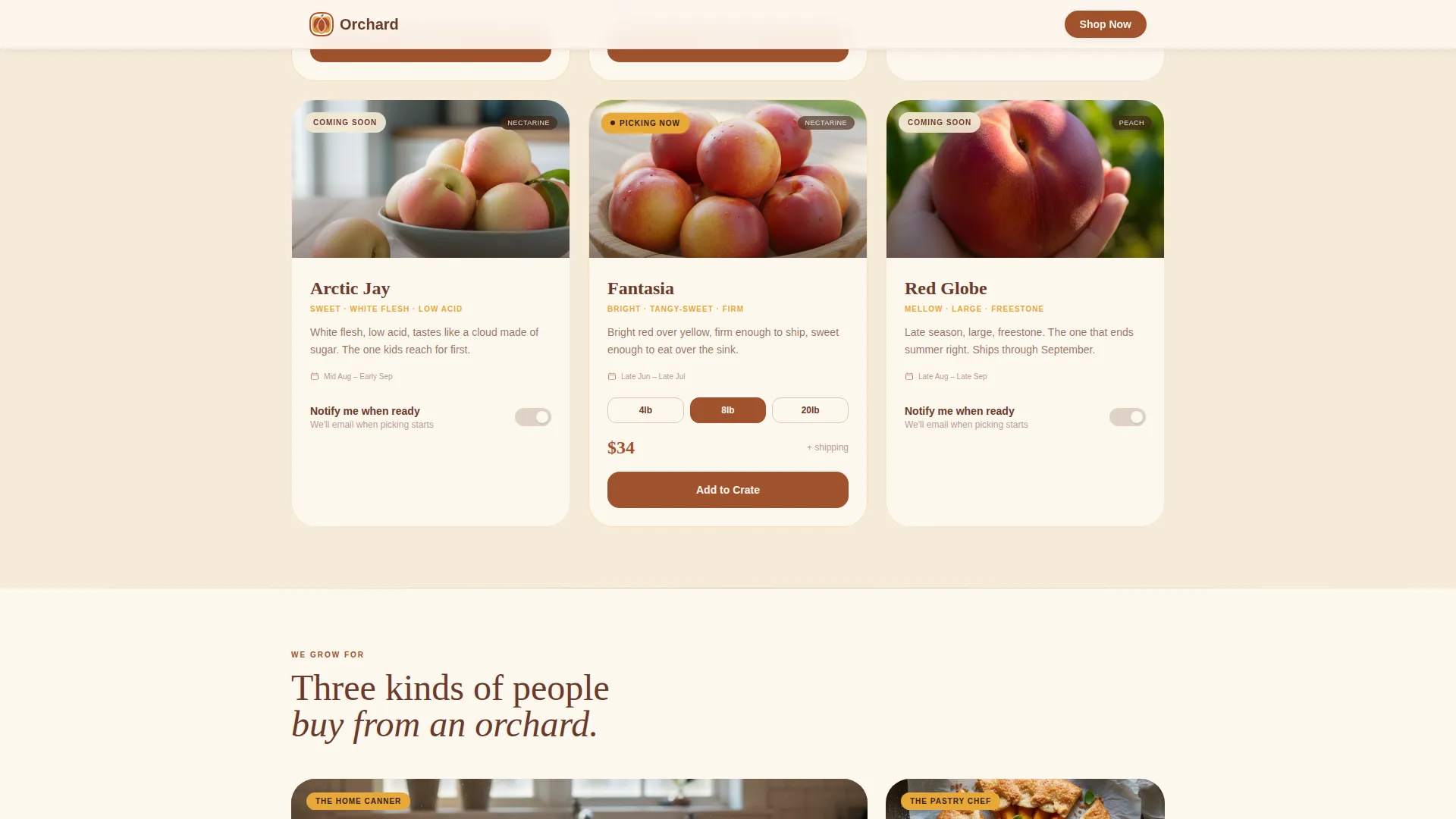 Fruit & Vegetable Farming Complete Professional Website Template