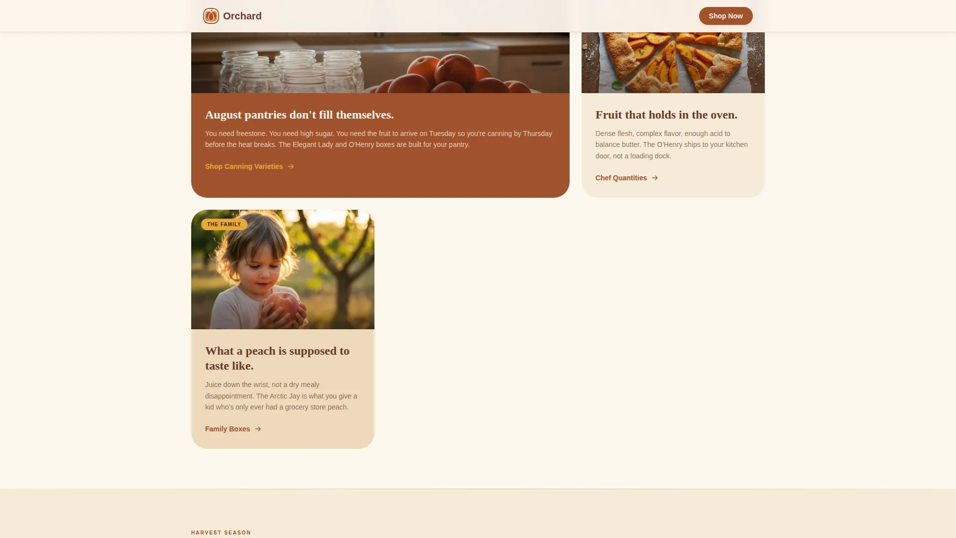 Fruit & Vegetable Farming Complete Professional Website Template
