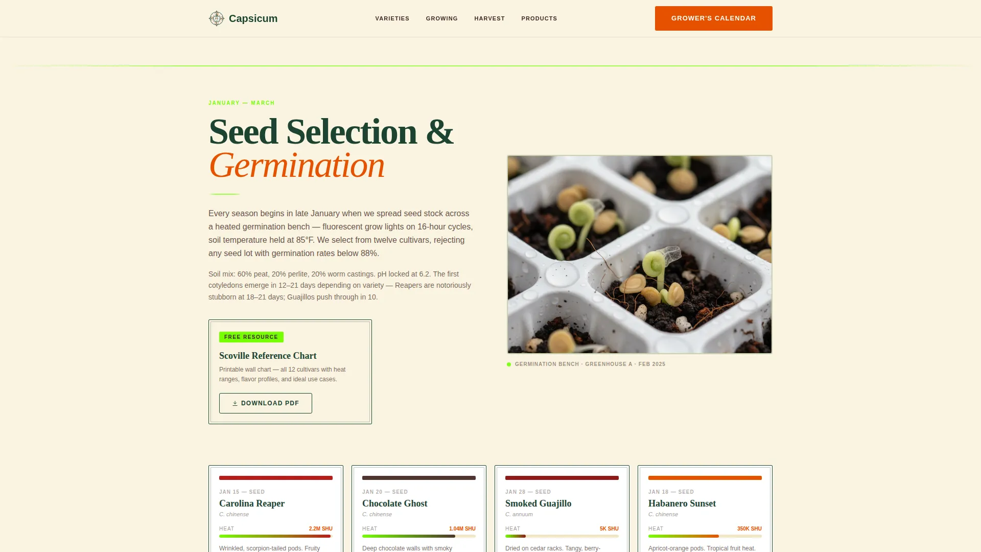 Fruit & Vegetable Farming Professional Website Template