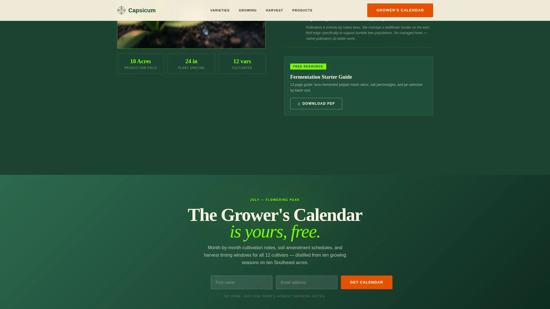 Fruit & Vegetable Farming Professional Website Template