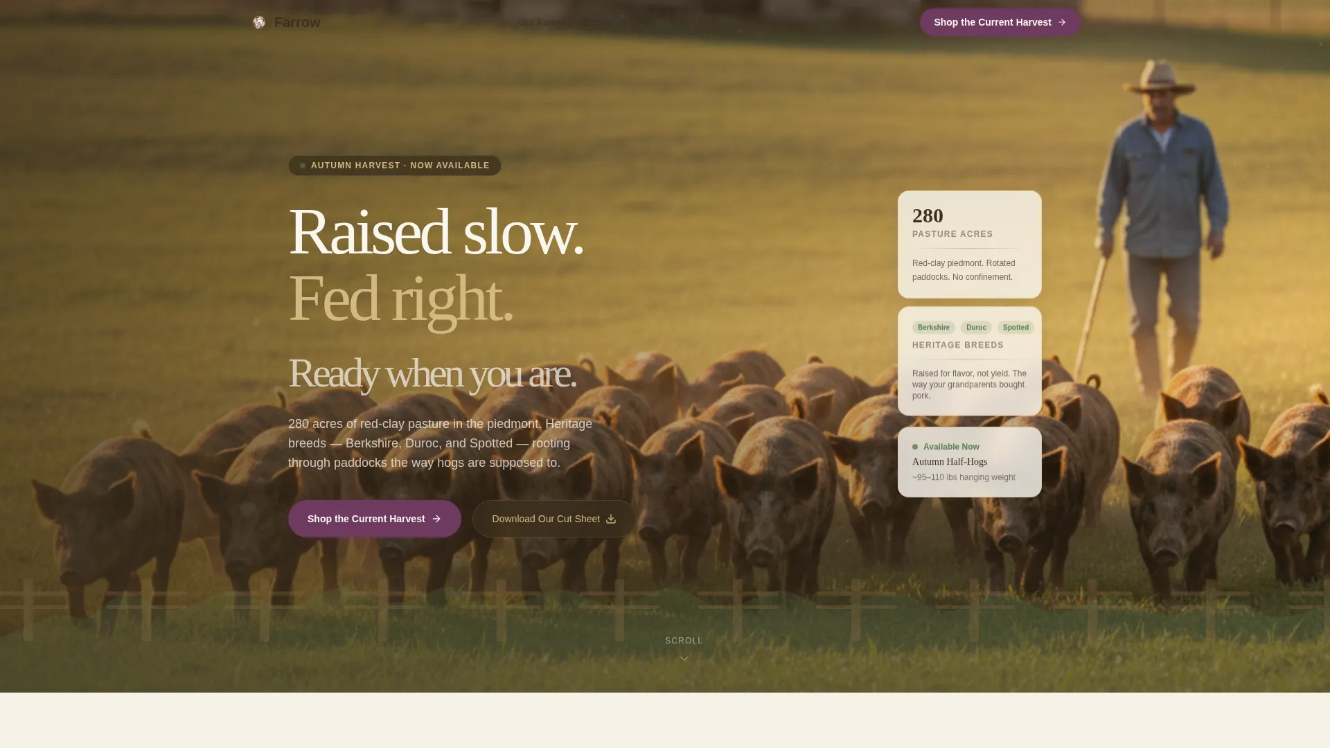 Immersive Hog Farm Landing Page Template