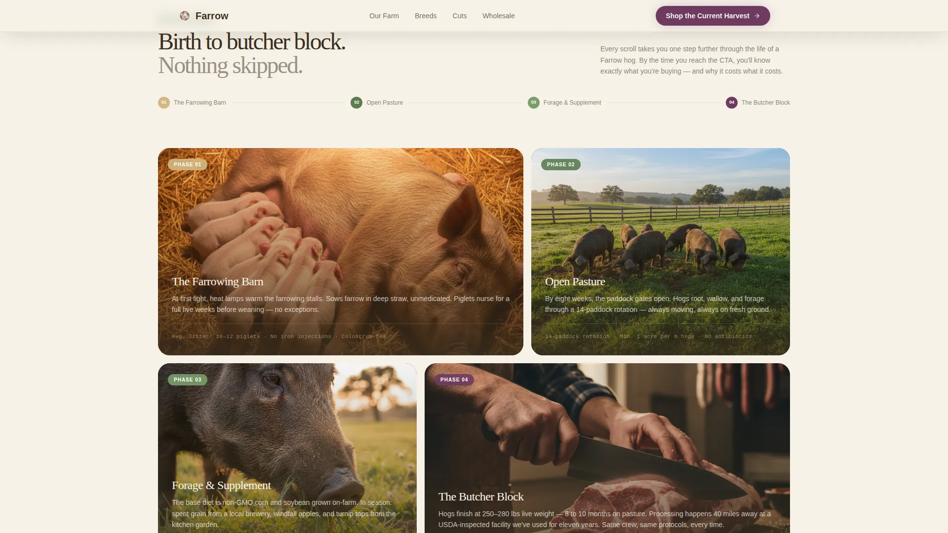 Immersive Hog Farm Landing Page Template