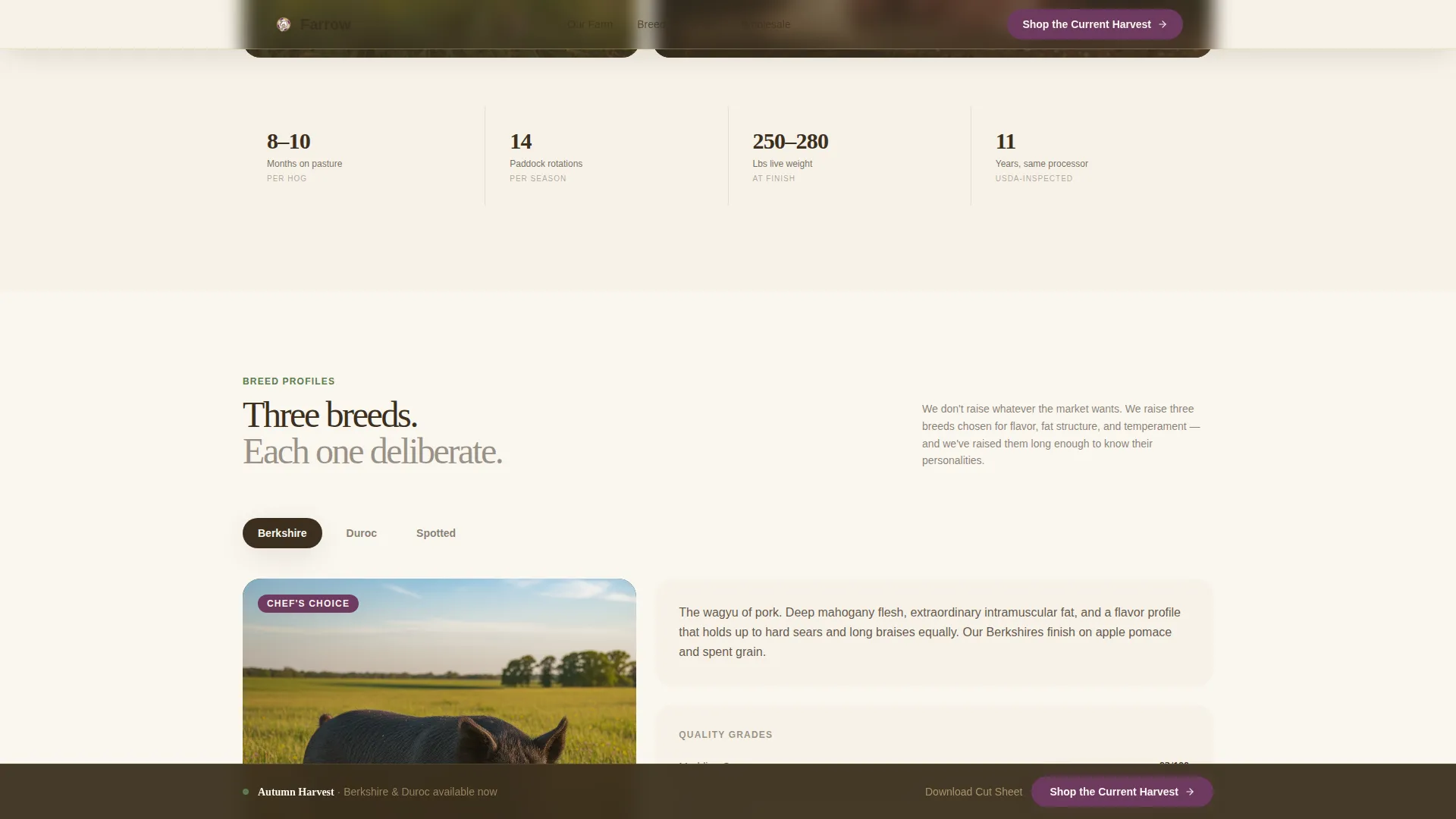 Immersive Hog Farm Landing Page Template