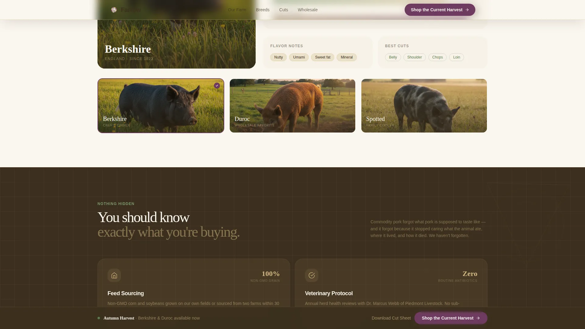 Immersive Hog Farm Landing Page Template