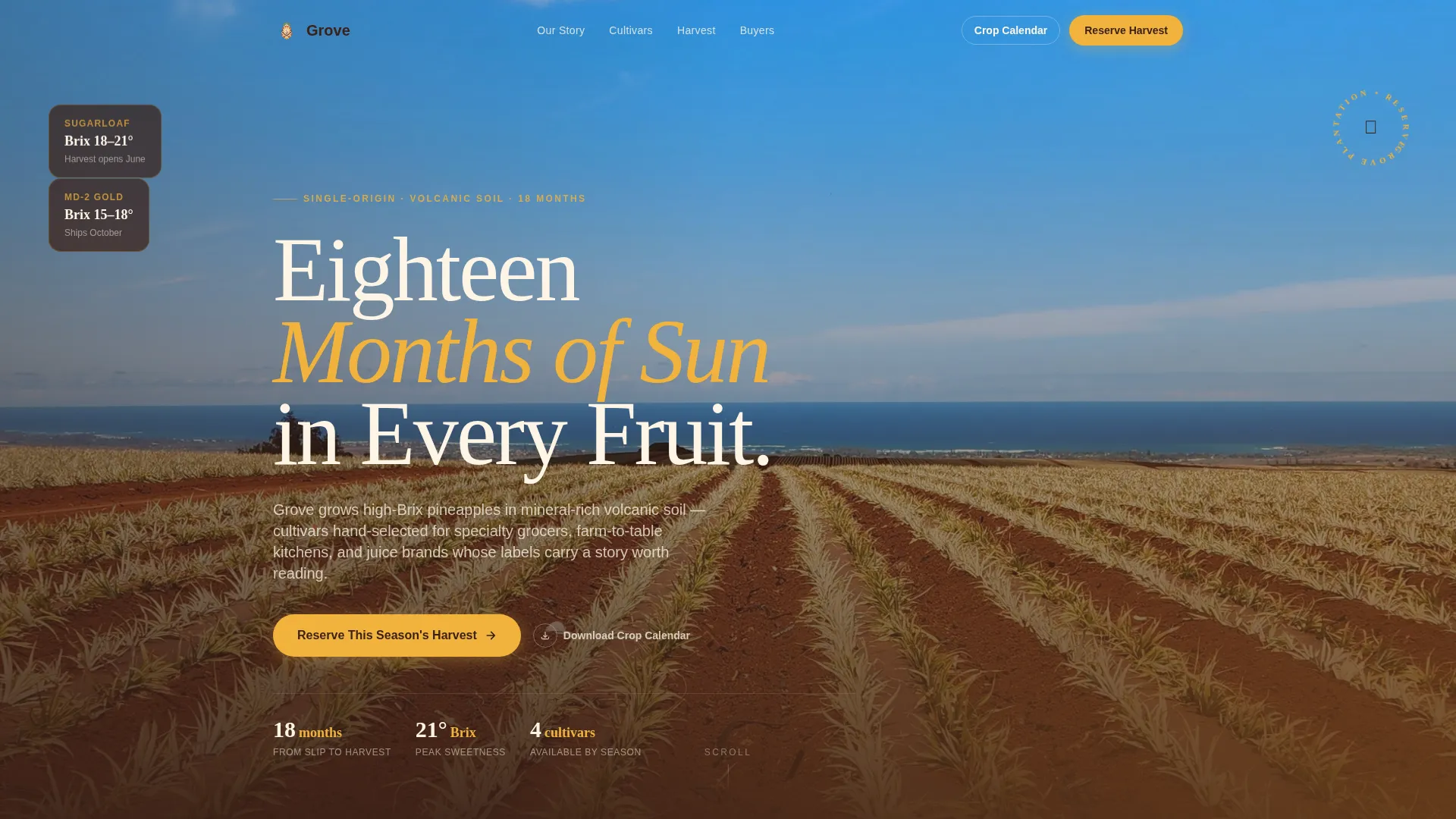 Fruit & Vegetable Farming Reviews Website Template