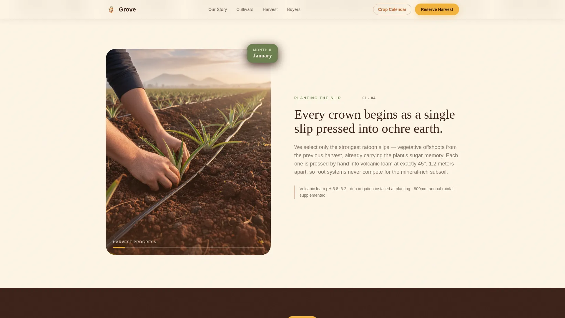 Fruit & Vegetable Farming Reviews Website Template