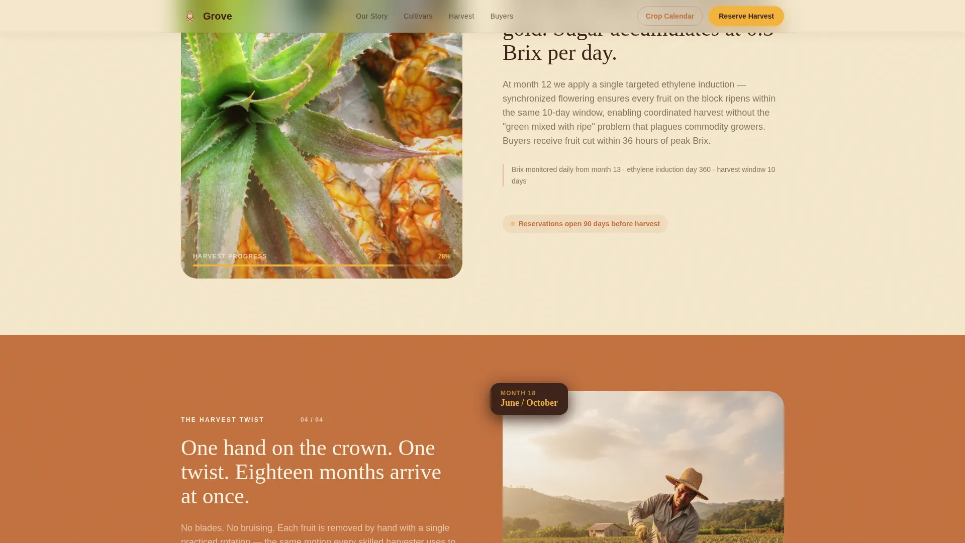 Fruit & Vegetable Farming Reviews Website Template
