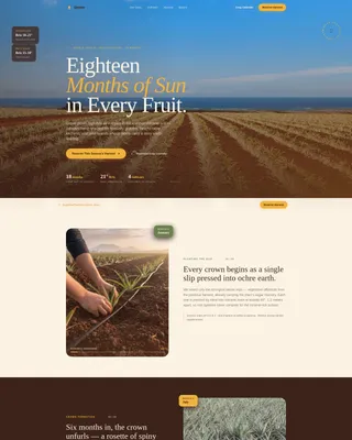 Fruit & Vegetable Farming Reviews Website Template
