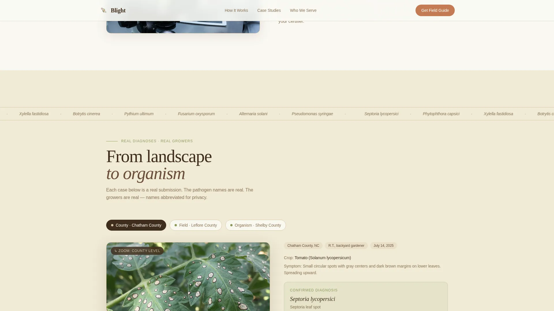 Pest & Crop Protection Portfolio Website Template