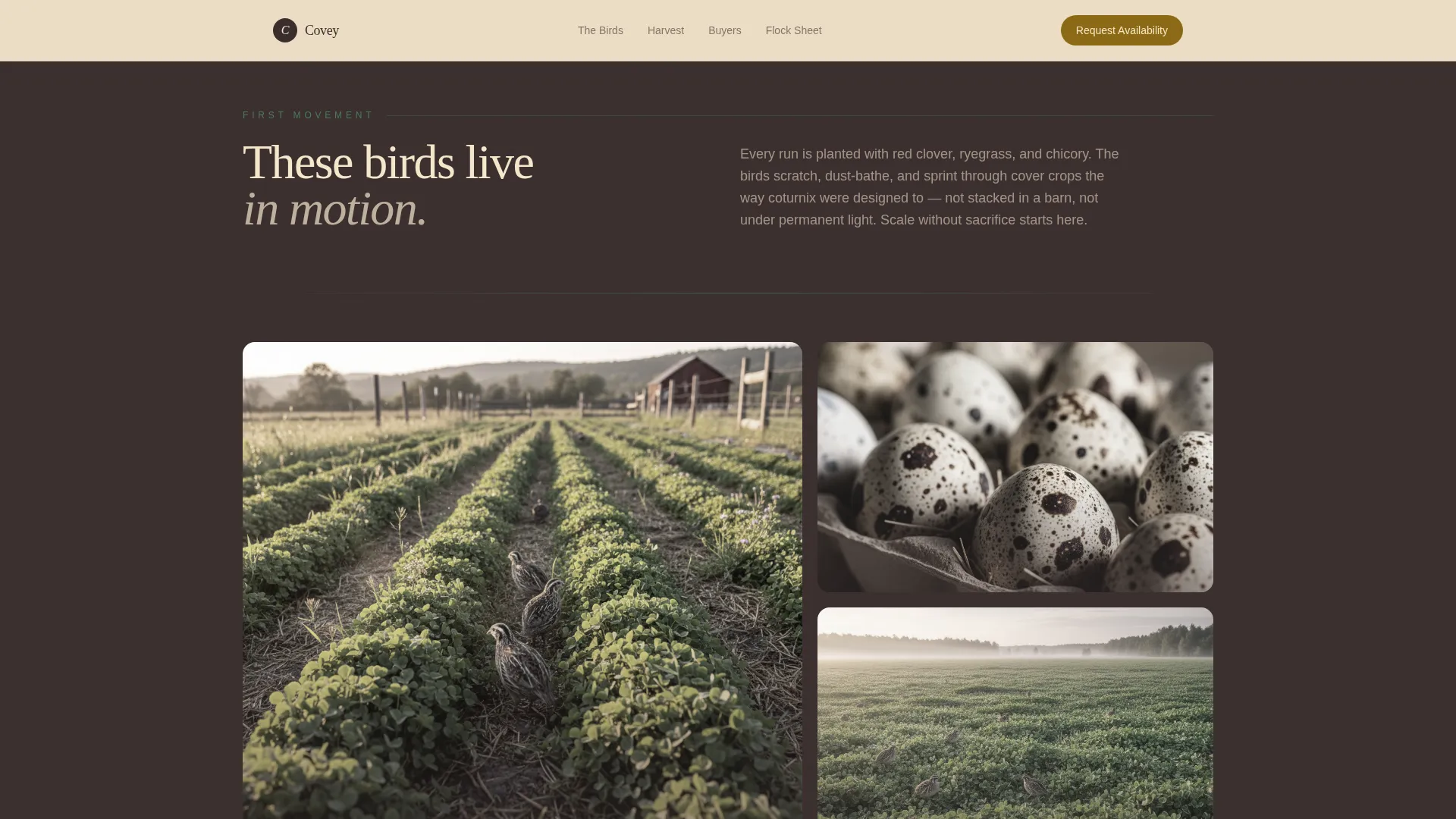 Specialty Farming Blog Website Template