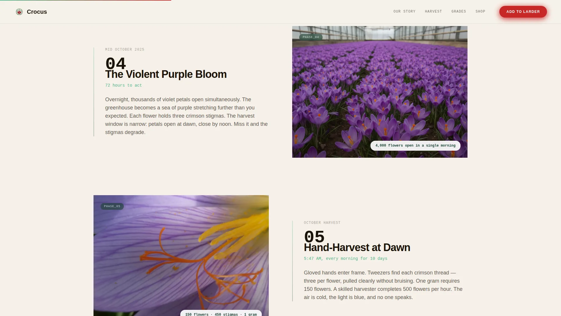 Specialty Farming Pricing Website Template