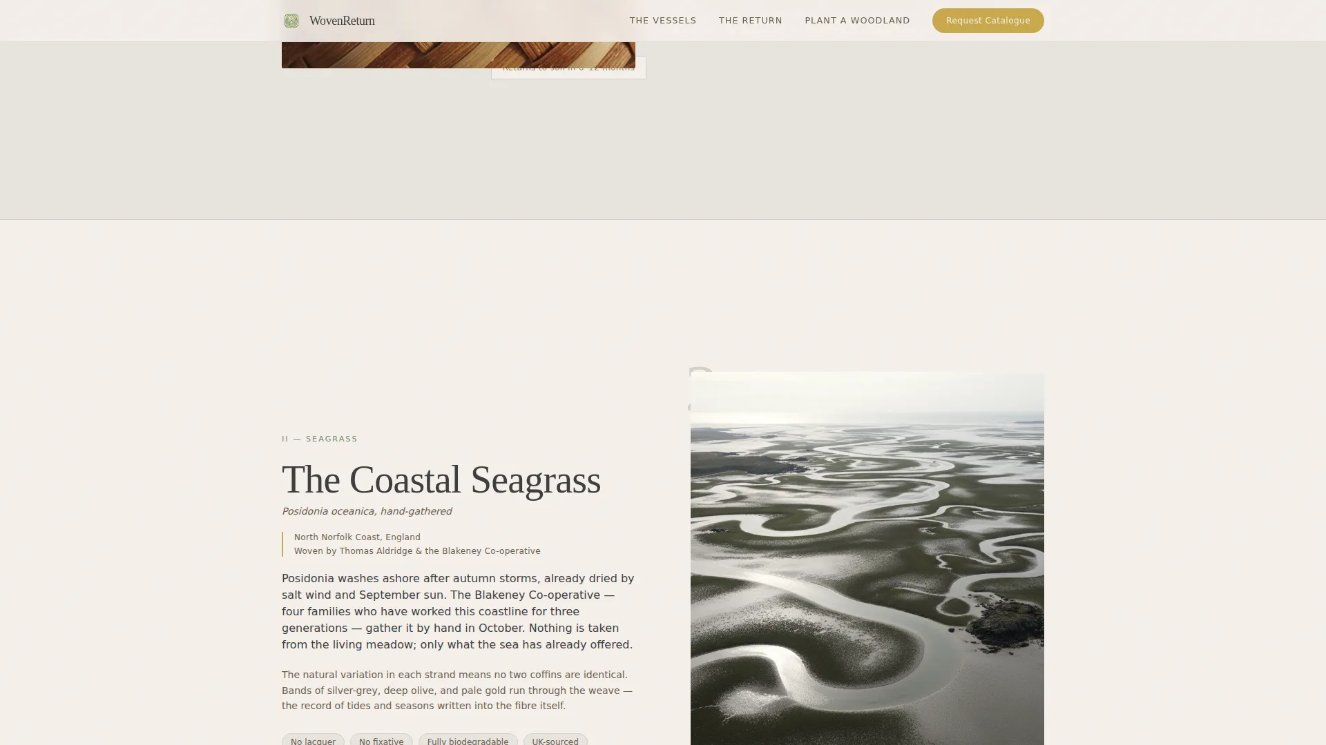 Funeral Professional Website Template
